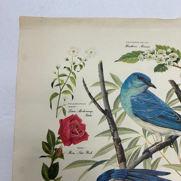 Vintage MCM Arthur Singer Series of Paintings American Home Magazine #'s 1,2,&6 - Picture 8 of 16